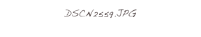DSCN2559.JPG