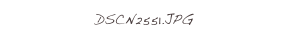 DSCN2551.JPG