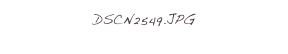 DSCN2549.JPG