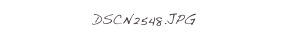 DSCN2548.JPG