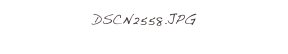 DSCN2558.JPG