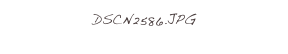 DSCN2586.JPG