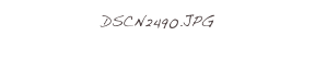 DSCN2490.JPG
