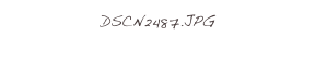 DSCN2487.JPG