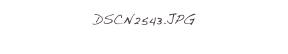 DSCN2543.JPG