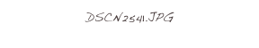 DSCN2541.JPG