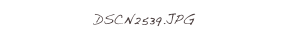 DSCN2539.JPG