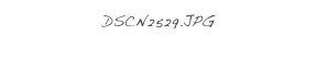 DSCN2529.JPG