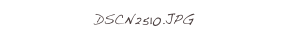 DSCN2510.JPG