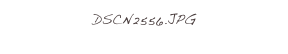 DSCN2556.JPG