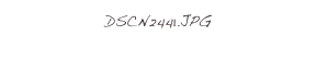 DSCN2441.JPG