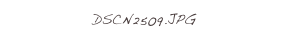 DSCN2509.JPG