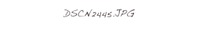 DSCN2445.JPG