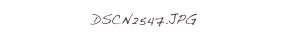 DSCN2547.JPG