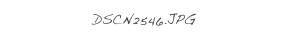 DSCN2546.JPG