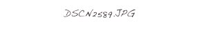DSCN2589.JPG