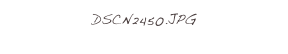 DSCN2450.JPG
