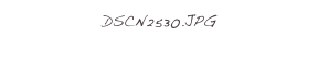 DSCN2530.JPG