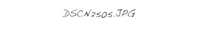 DSCN2505.JPG