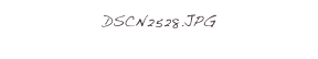 DSCN2528.JPG