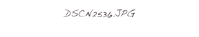 DSCN2536.JPG