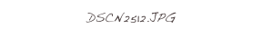 DSCN2512.JPG
