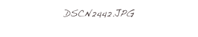 DSCN2442.JPG