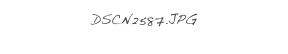 DSCN2587.JPG