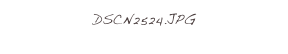 DSCN2524.JPG