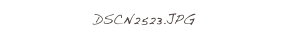 DSCN2523.JPG