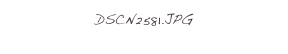 DSCN2581.JPG