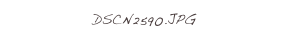 DSCN2590.JPG